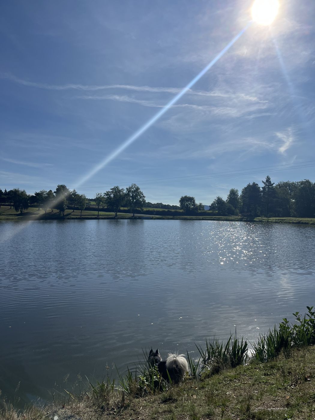 Le lac de Gelles au soleil, les arbres reflétés dans l’eau calme